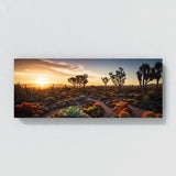 Succulent Sunset Symphony 67