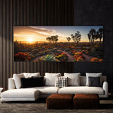 Succulent Sunset Symphony 67
