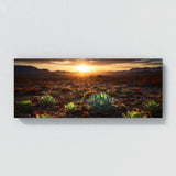 Succulent Sunset Symphony 68