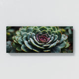 Succulent Symmetric Beauty 80
