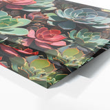 Succulent Symphony 83