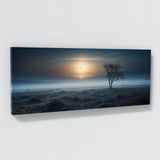 Moon Mystic Moonlit Veil 81