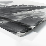Feather Digital 90