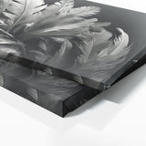 Feather Digital 91
