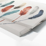 Feather Feathered Elegance 87