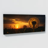 Dandelion Sunset Silhouette 67