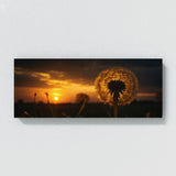 Dandelion Sunset Silhouette 67