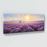 Countryside Provence Bliss 9