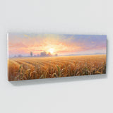 Corn Dawns Gentle Radiance 33