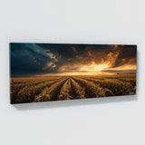 Corn Epic Cornfield Horizon 63