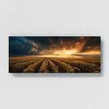 Corn Epic Cornfield Horizon 63