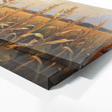 Corn Golden Harvest Glow 41