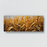 Corn Golden Harvest Glow 42
