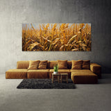 Corn Golden Harvest Glow 42