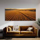Corn Golden Harvest Vista 75