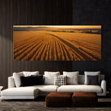 Corn Golden Harvest Vista 75