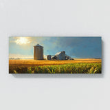 Corn Morning Cornfield Glow 17