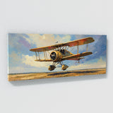 Aircraft Aerial Dawn Exhibition 49