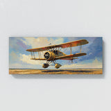 Aircraft Aerial Dawn Exhibition 49
