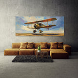 Aircraft Aerial Dawn Exhibition 49