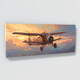 Aircraft Dawns Aerial Elegance 1