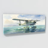 Aircraft Seaplane Serenity 26