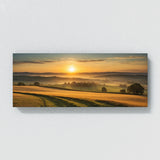 Sun Golden Morning Fields 81