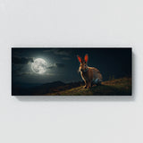 Rabbit Nocturnal Pursuit 76