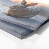 Rabbit Quiet Embrace 81