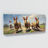 Rabbit Run 46
