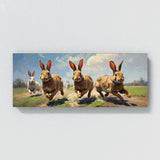Rabbit Run 46