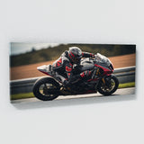 Motorcycle Racing Apex 117