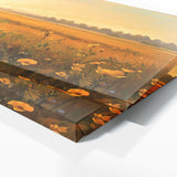 Calm Golden Evening Meadow 3