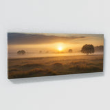 Calm Misty Morning Light 80