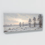 Calm Silent Snowfall Serenity 20