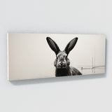 Bunny In Minimalism 84