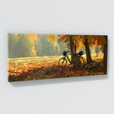 Bicycle Autumnal Bike Path 8