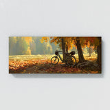 Bicycle Autumnal Bike Path 8