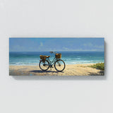 Bicycle Morning Beach Ride 10