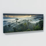 Asian Misty Ancient Canopy 80