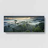 Asian Misty Ancient Canopy 80
