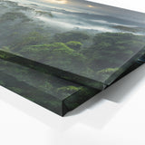 Asian Misty Ancient Canopy 80