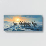 Nordic Tundra Shadows 13