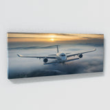 Aviation Emerging Through Fog 65