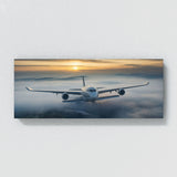 Aviation Emerging Through Fog 65