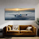 Aviation Emerging Through Fog 65