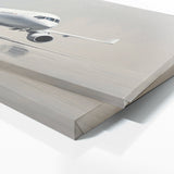 Aviation Jetliner Serenity 75