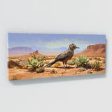 Southwestern Desert Life 18