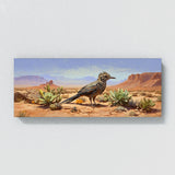Southwestern Desert Life 18