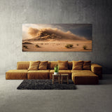 Southwestern Desert Turmoil 65